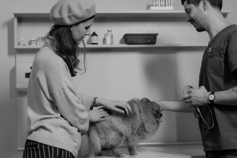 common pet health mistakes new owners make