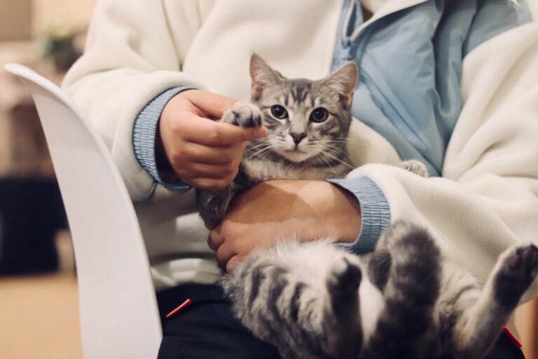 common pet health problems and prevention